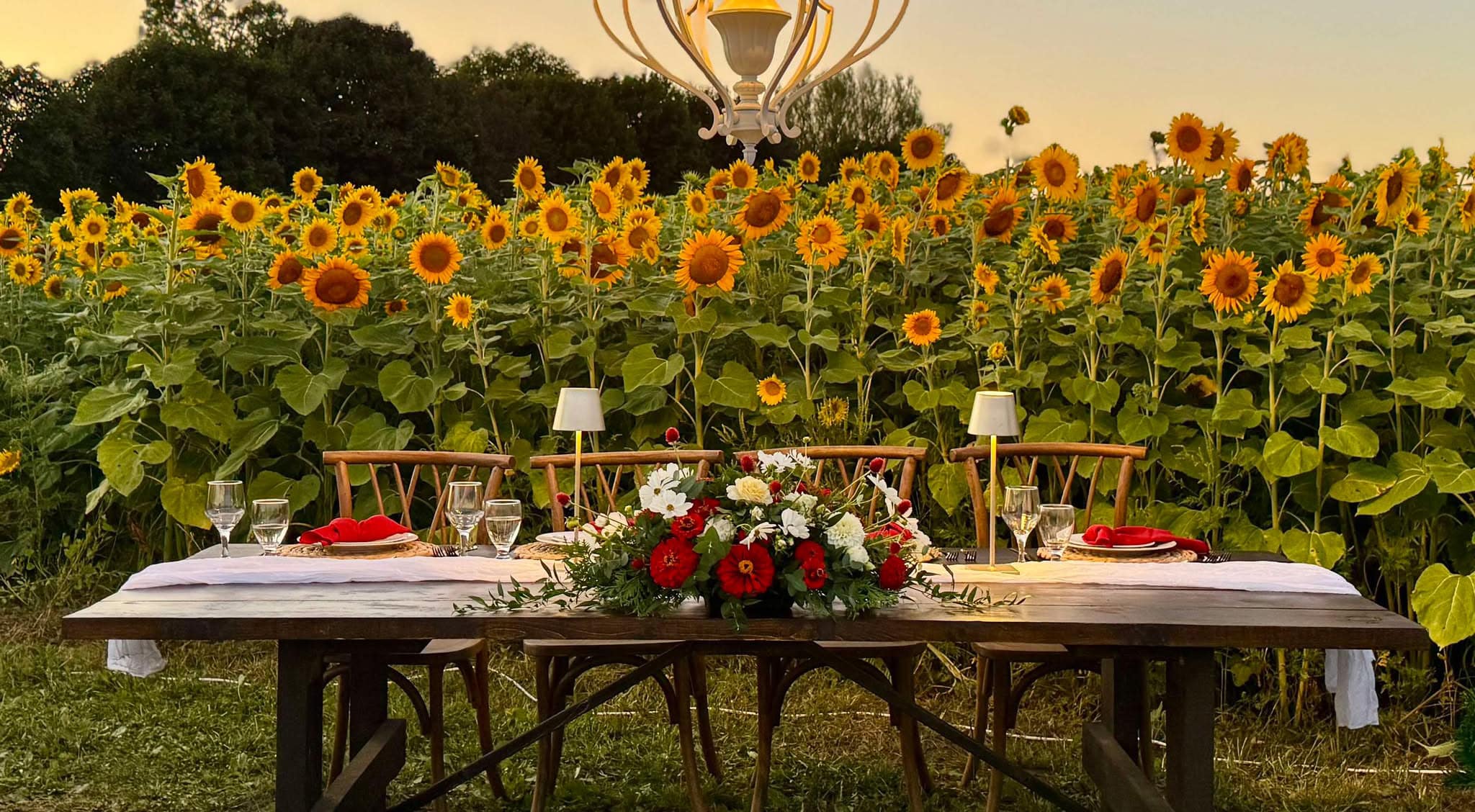 Redemption Tent Events - Sunflower Harvest Set Up