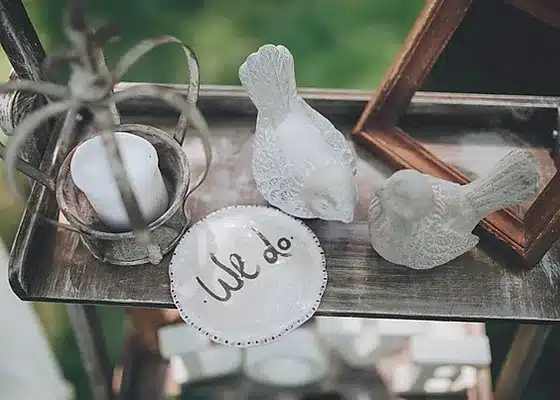 Close up shot of detail decorations at wedding reception